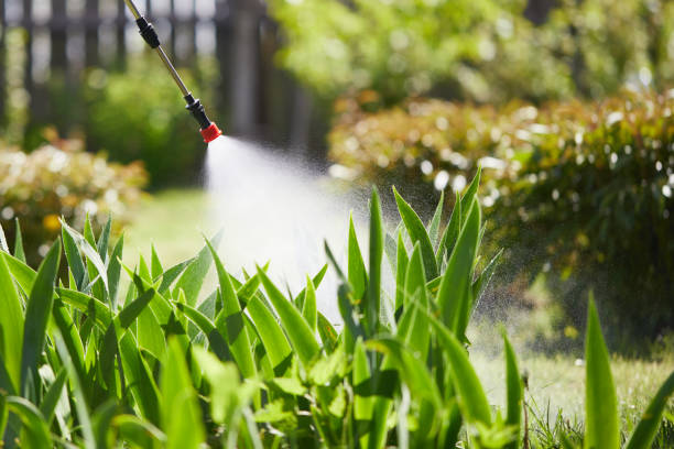 24/7 Emergency Ant Control experts in Johnson City, TN