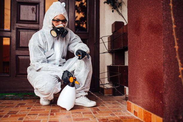 Reliable Ant Control contractor in Johnson City, TN by Nex Pest Control
