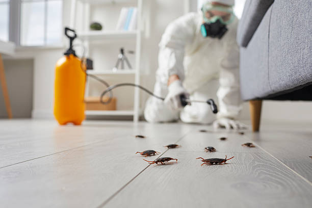 Trusted Fumigation Services service in Johnson City, TN - Nex Pest Control