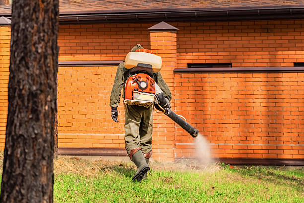 Trusted Cockroach Control service in Johnson City, TN - Nex Pest Control